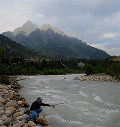 Fishing and Angling in Sangla