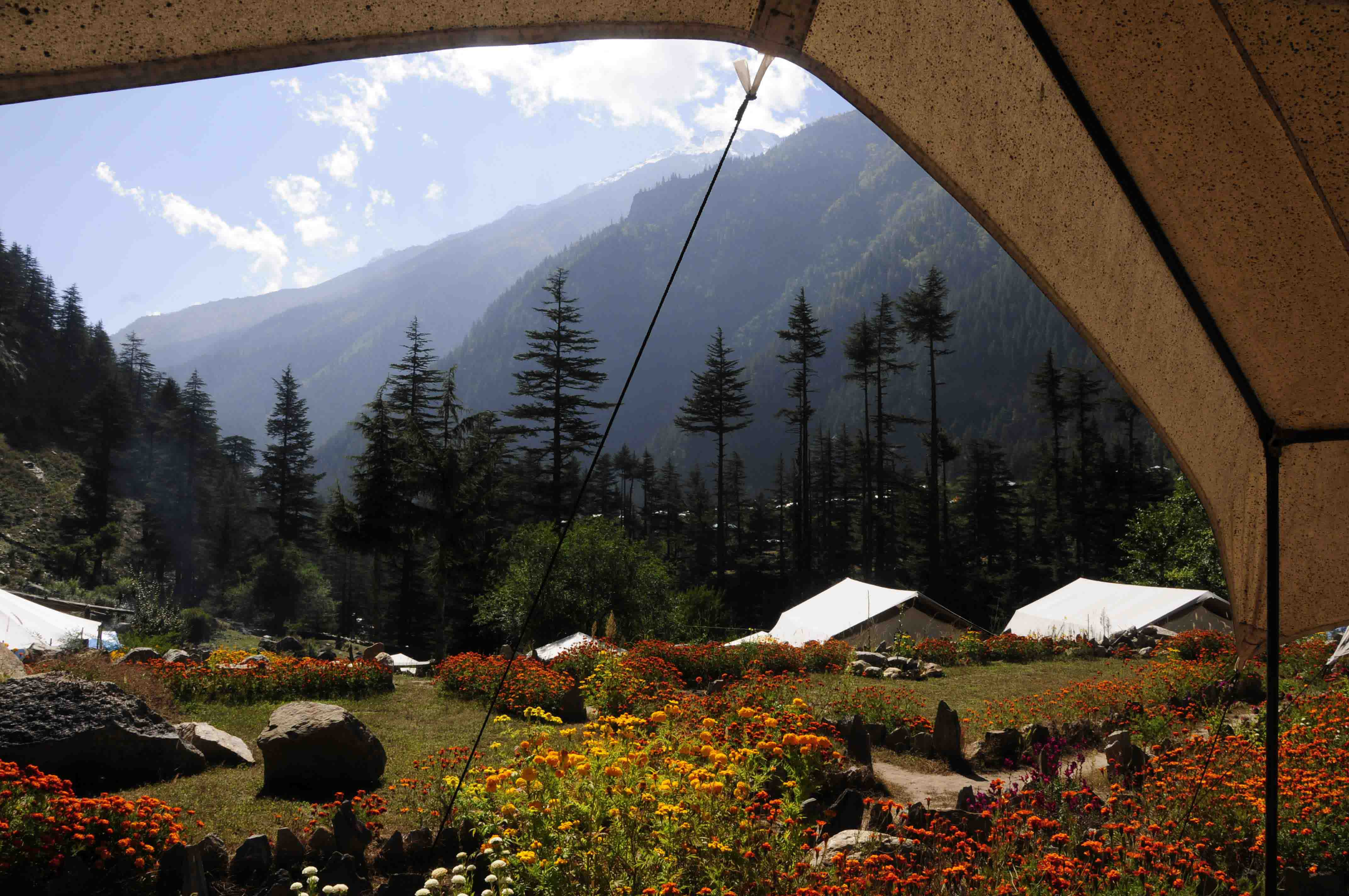 Luxury Tents in Sangla