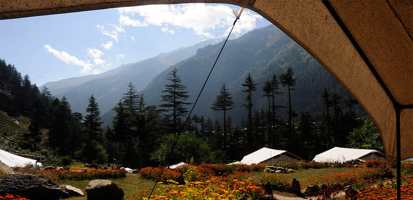 hotels in sangla Valley