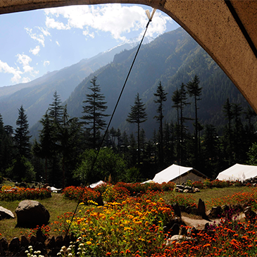 Travel Agents in Sangla Kinnaur